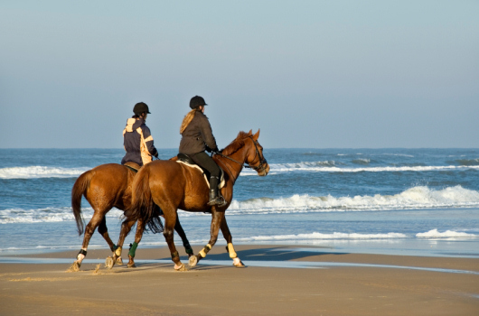 Horse riding on Northumberland beach Horse riding on Northumberland beach