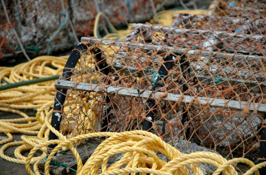 Lobster Creels, Northumberland Lobster Creels, Northumberland